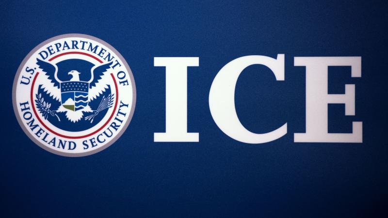 Immigration and Customs Enforcement