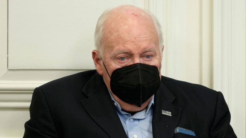 Dick Cheney