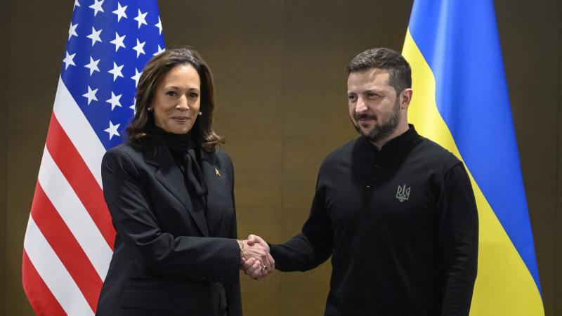 US Vice President Kamala Harris (L) shakes hands with Ukraine's President Volodymyr Zelensky.