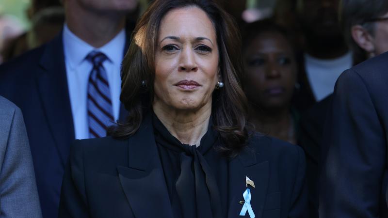 Vice President Kamala Harris