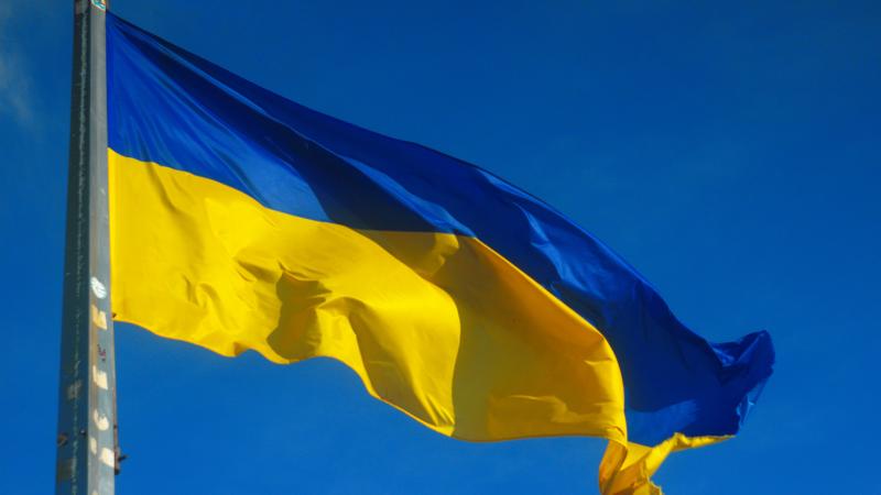 Ukrainian Flag - stock photo