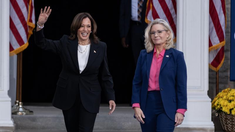 Liz Cheney Kamala Harris
