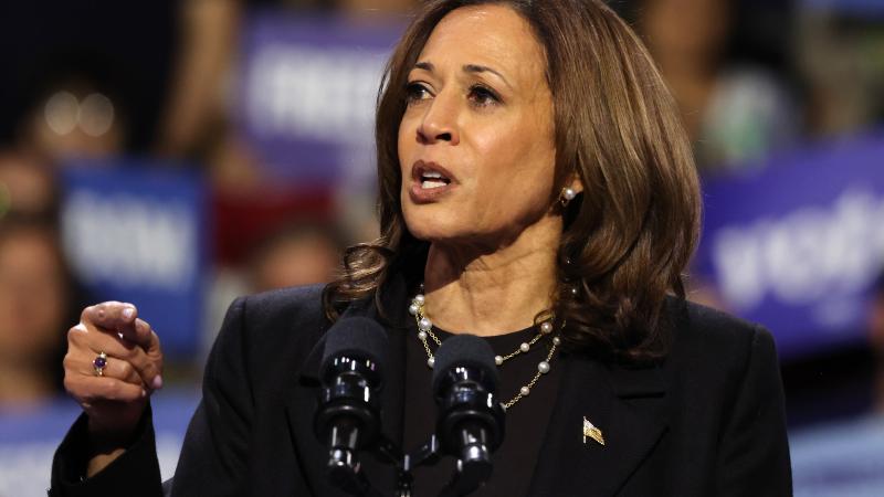 Vice President Kamala Harris