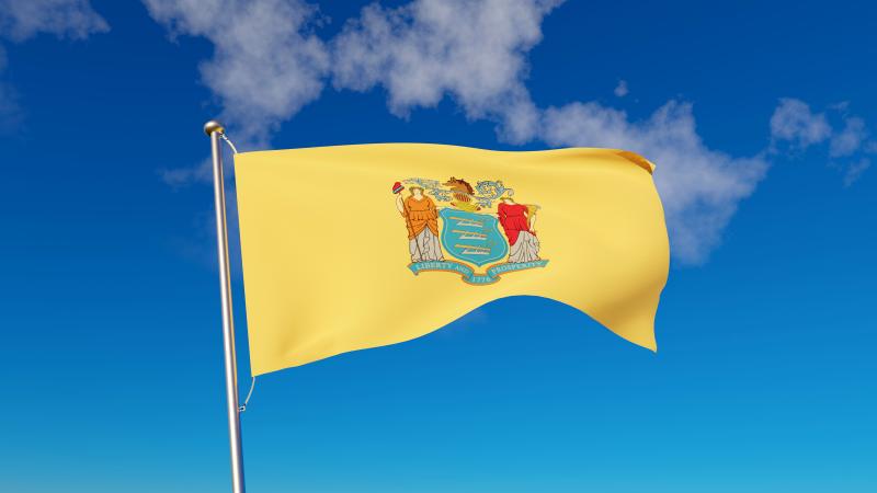 New Jersey state flag