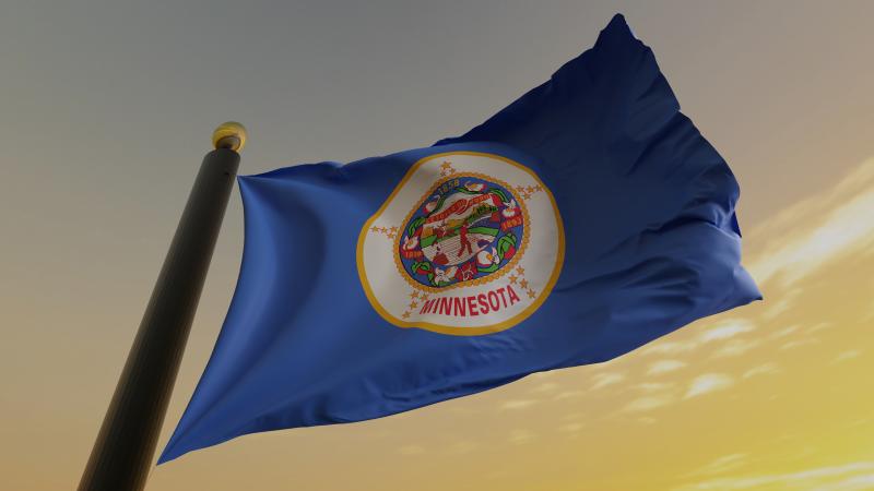 Minnesota state flag