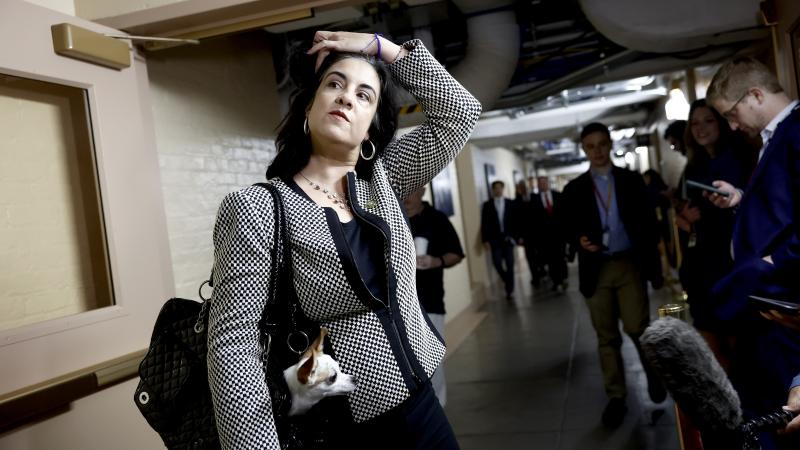 Representative Nicole Malliotakis with dog.1