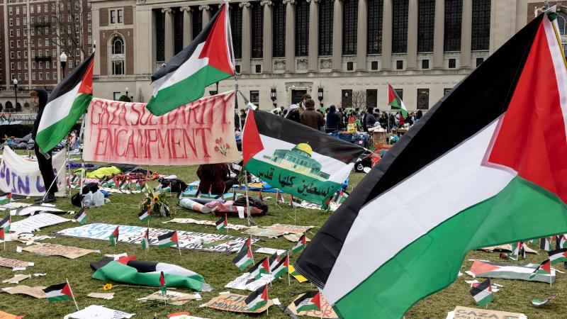 Pro-Palestine protest at Columbia University