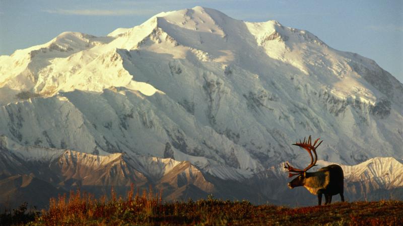 Mt. McKinley