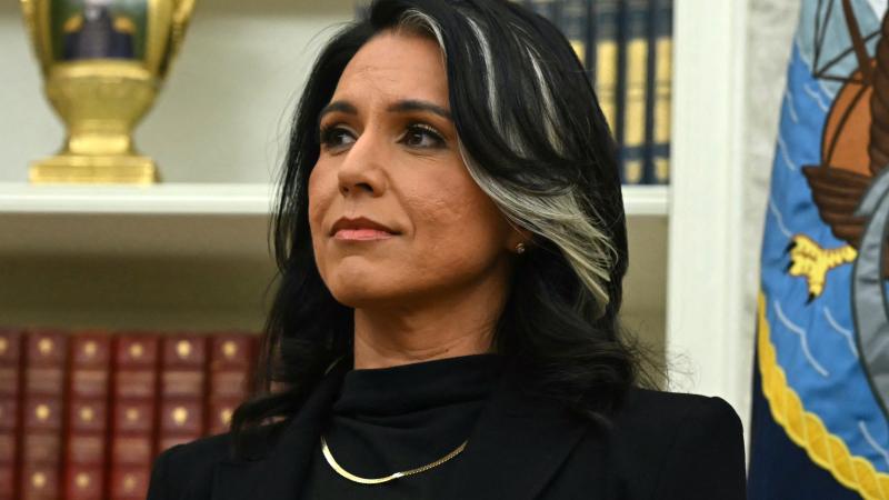 Tulsi Gabbard