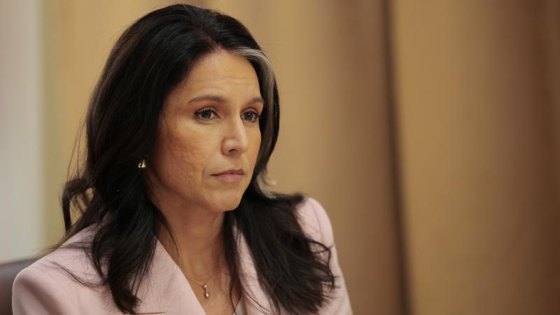 Tulsi Gabbard