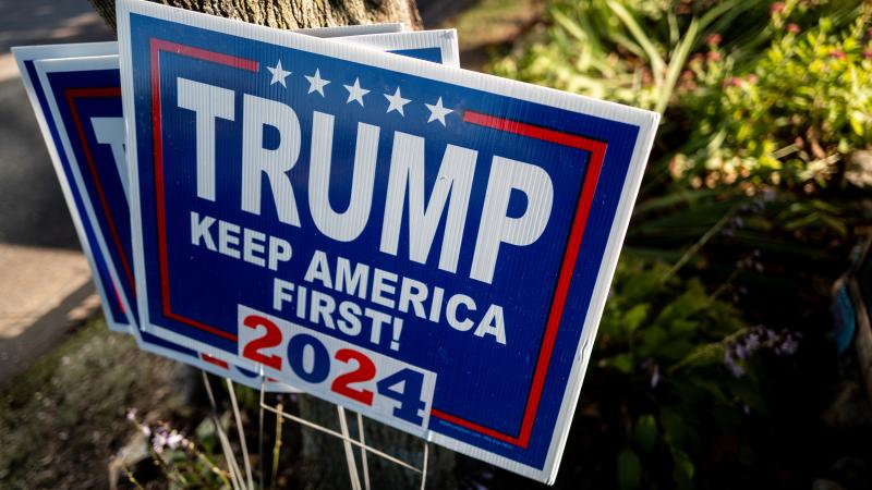 Campaign signs rest against a tree on September 28, 2024 in Prairie du Chien, Wisconsin.