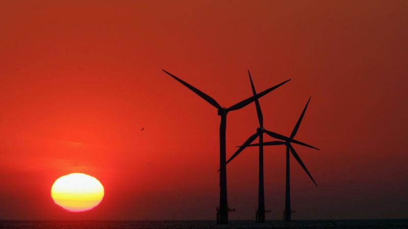 Wind farms at sunset