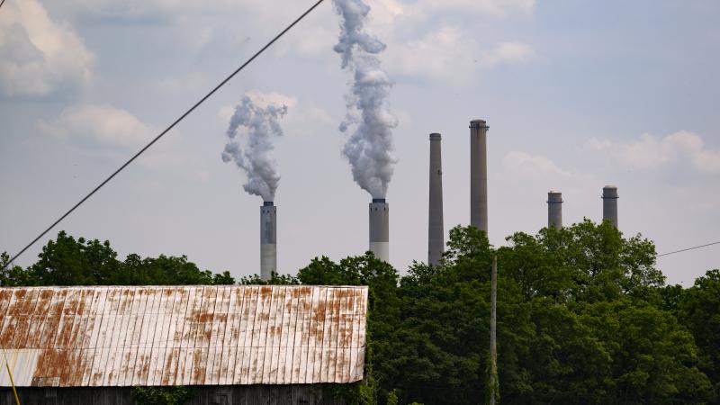 Coal