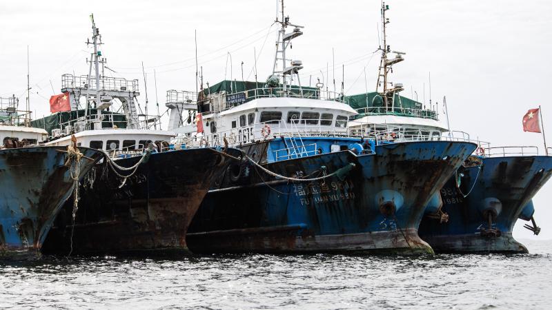 Commercial fishing boats with the Chinese national flag showing are pictured in the polluted Hann Bay in Dakar, on September 27, 2023.