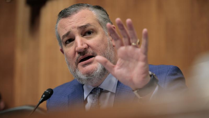 Sen. Ted Cruz speaks during a senate hearing.