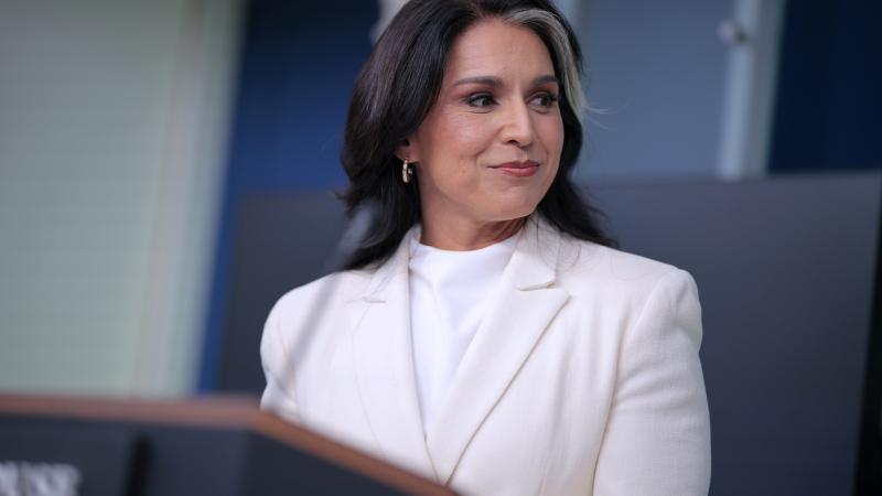 Tulsi Gabbard