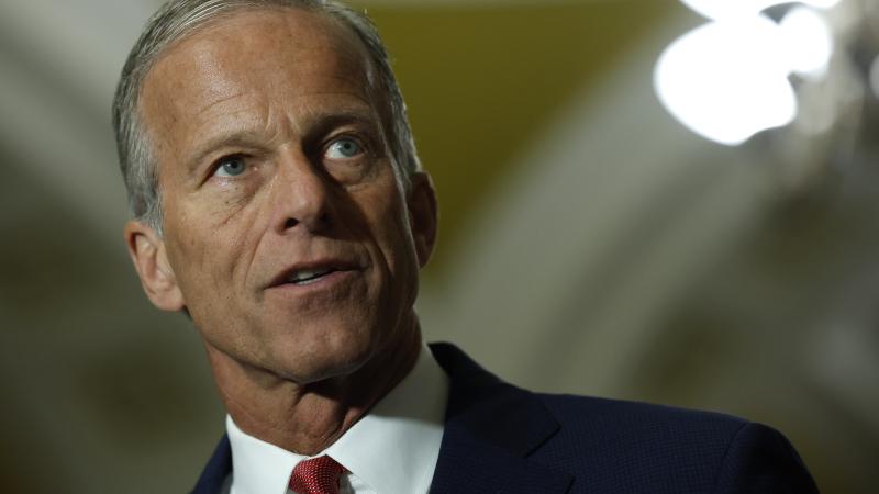 John Thune