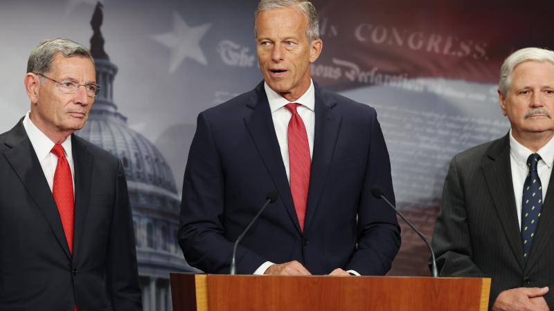 Senate Republican leadership