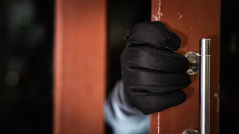 Thief
