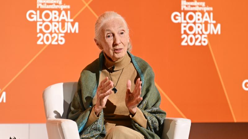 Jane Goodall