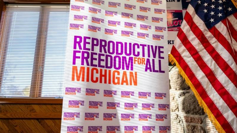 Planned Parenthood rally for abortion in Michigan