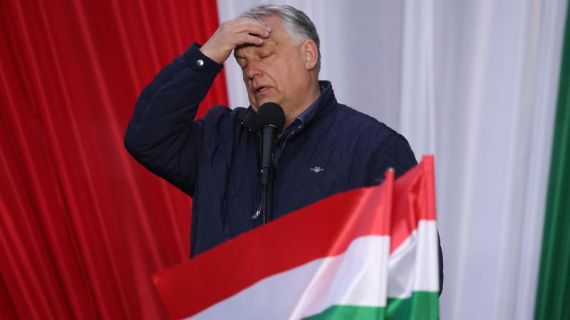 Viktor Orbán conceded defeat
