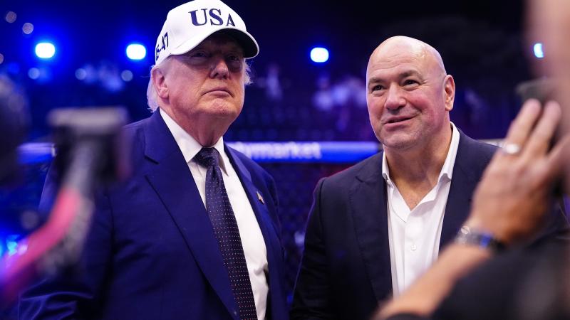 UFC fight