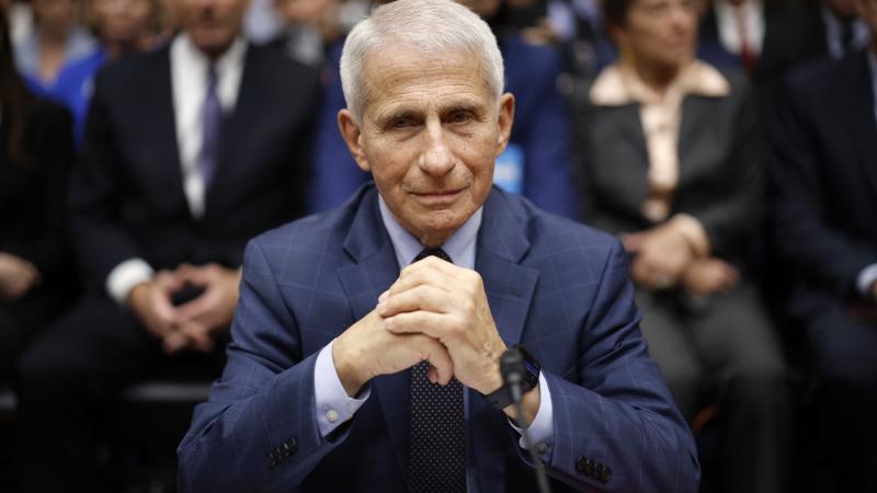 Dr. Anthony Fauci testifies before the House Oversight and Accountability Committee on the COVID-19 pandemic on June 3, 2024 in Washington, D.C.