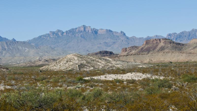 Texas landscape