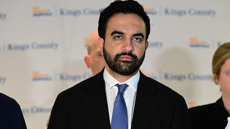 Mamdani