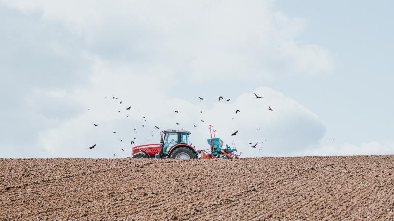 A Shiny red tractor drives in a ploughed field sowing barley seed from a seeding trailer. 