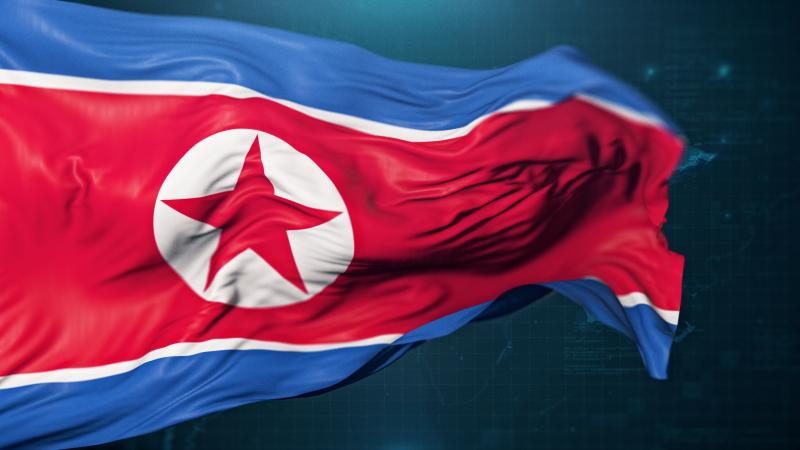 North Korean flag
