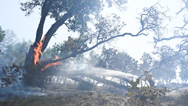 Fire crews battle Timber Fire in Big Sur, California 