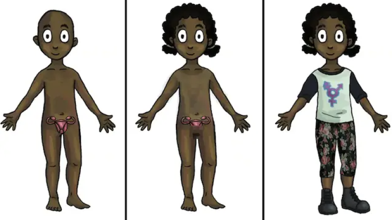 MyGender Dolls