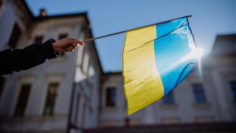 Ukraine flag