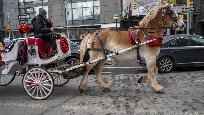 Horse carriage