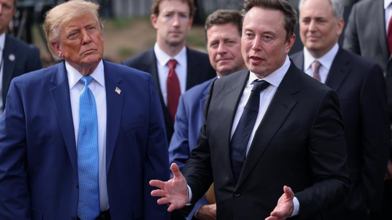 Donald Trump and Elon Musk