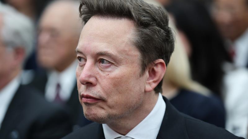 Elon Musk