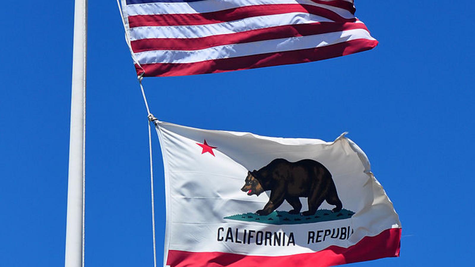 American and California flags in 2013