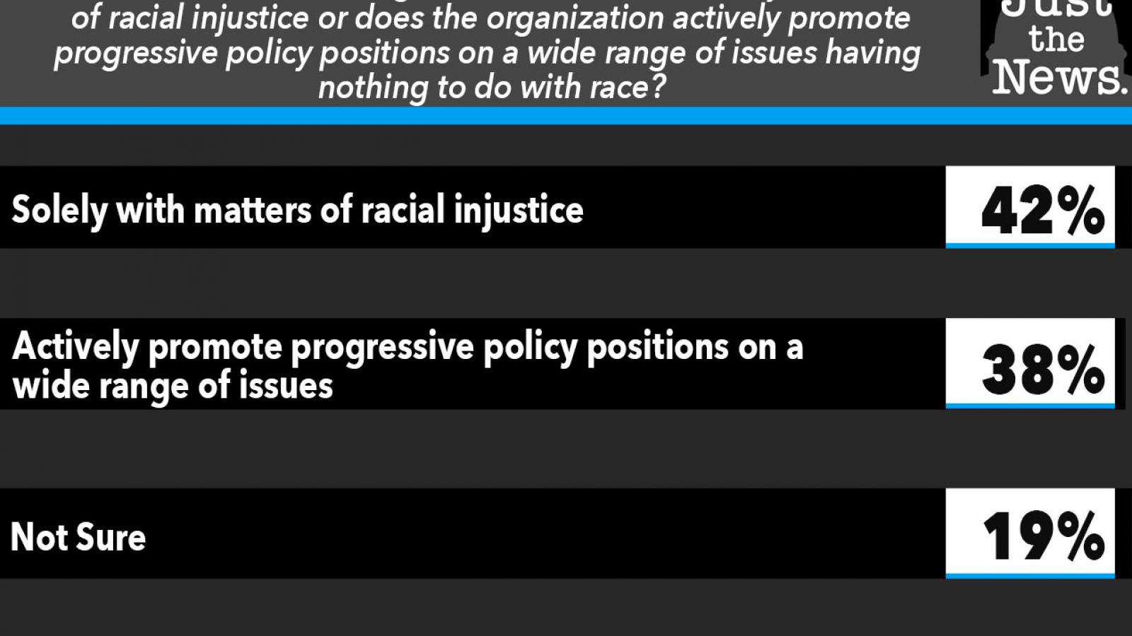 Just the News Poll, Does BLM promote progressive policy positions?