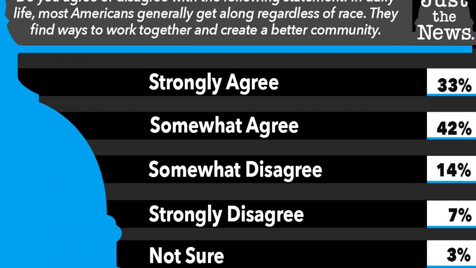 Do you agree that Americans generally get along regardless of race?
