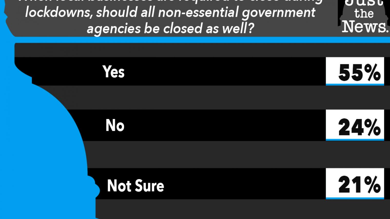 When local businesses are required to close during lockdowns, should all non-essential government agencies be closed as well?