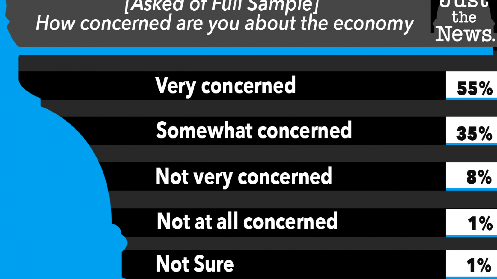 Just the News Poll, How concerned are you about the economy?