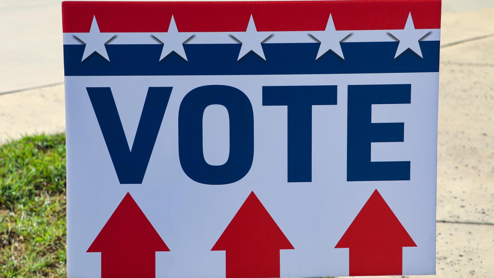 Vote sign