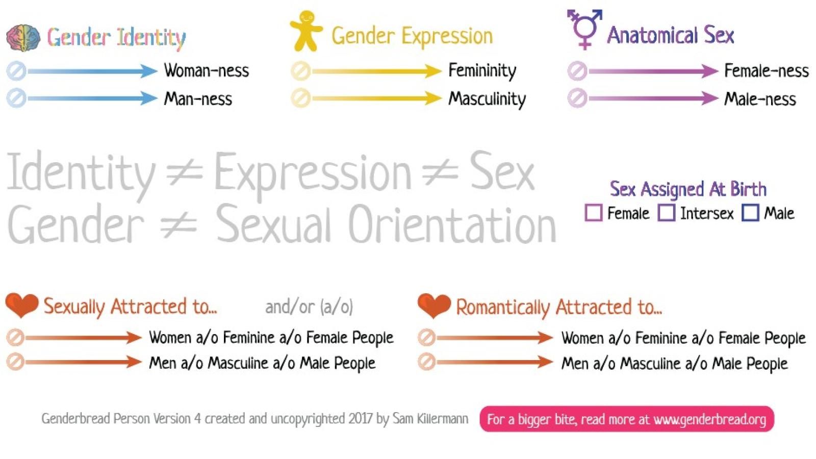 Genderbread Person text, version 4
