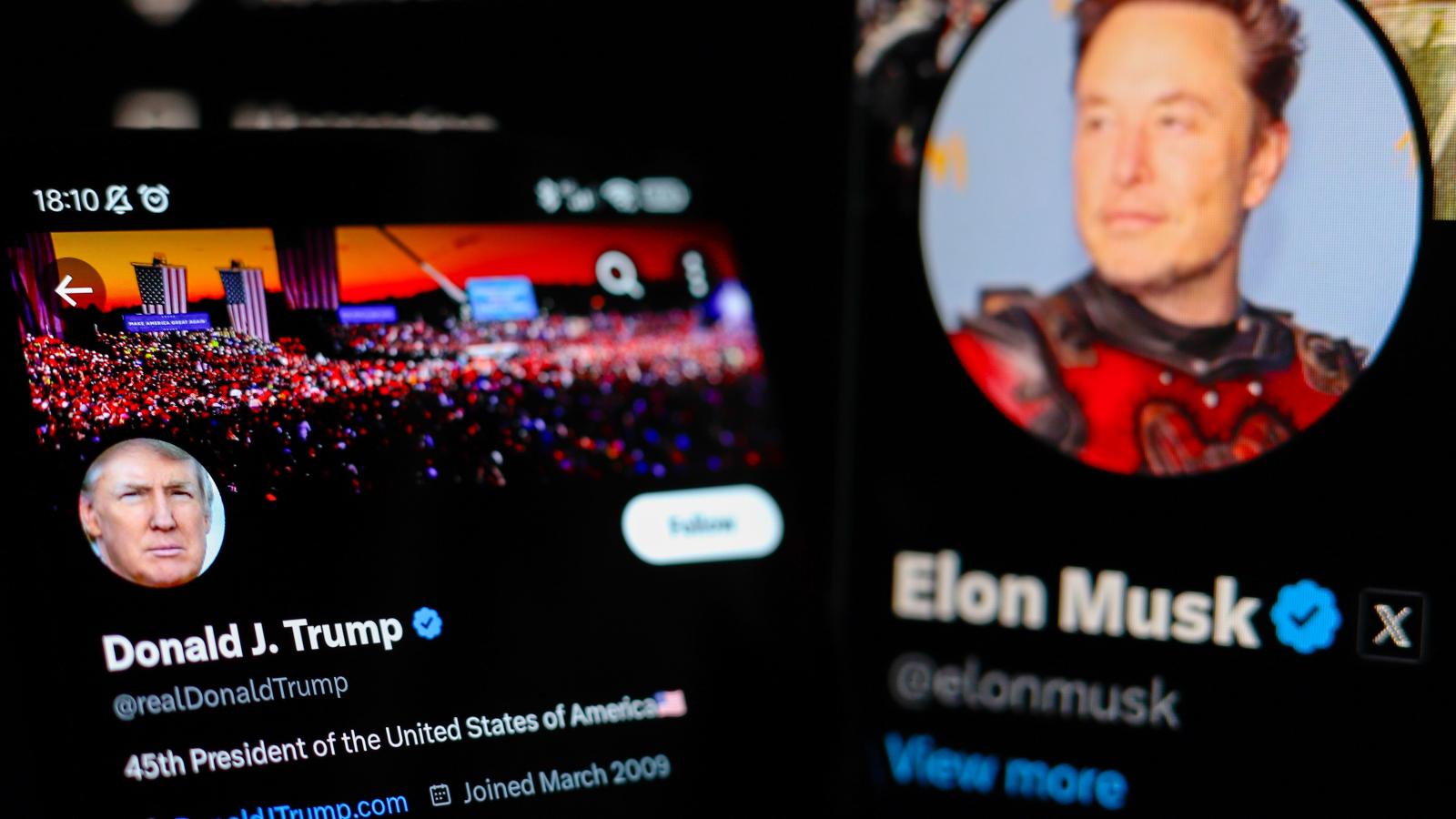 musk trump