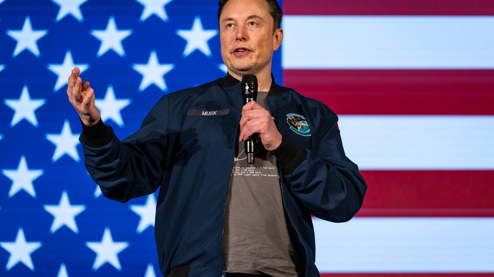 X owner Elon Musk